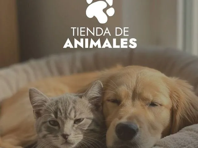 Proyecto para ZOOS